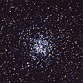M11 (NGC6705) in Scutum (north up) mv 6.3<br />EOS6D + EF300 F2.8L III + EF1.4xII Trimmed to 1:1 (60sx3 ISO3200 - darkframex3)