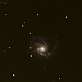 M99 in the constellation Coma Berenices. <br />Newtonian D=200 FL=1000 + EOS6D + EF1.4II