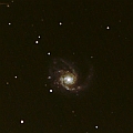 M99 in the constellation Coma Berenices. <br />Newtonian D=200 FL=1000 + EOS6D + EF1.4II